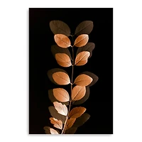Fall Leaves 7 Canvas Giclee