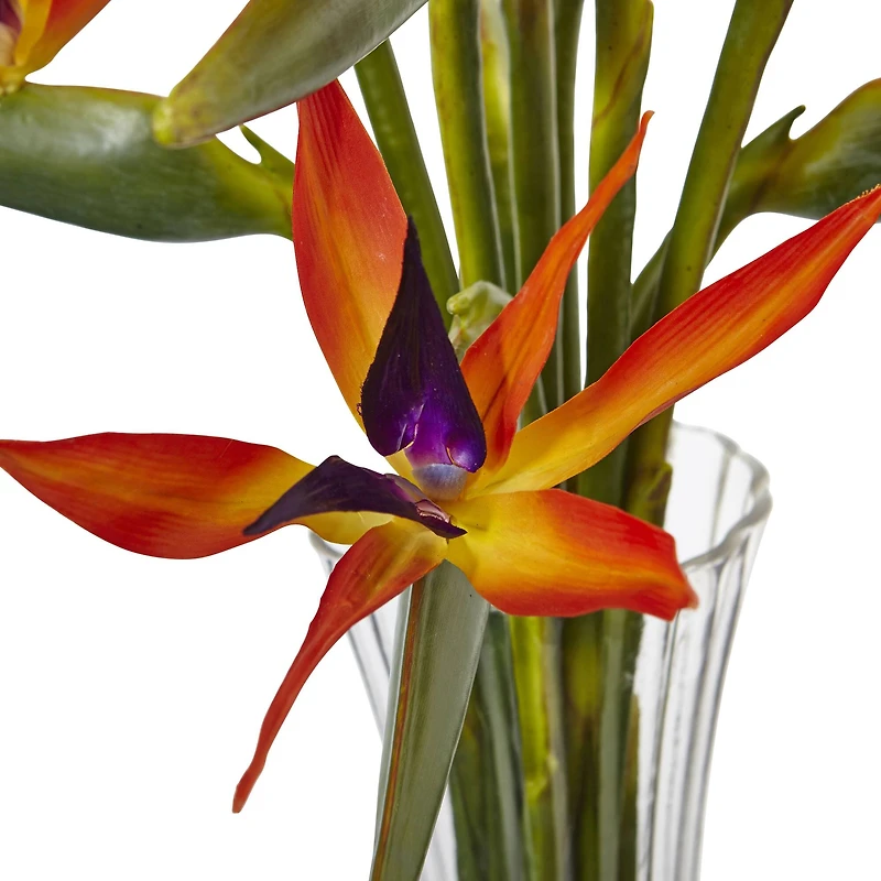 2.5ft. Bird of Paradise Flowers in Glass Cylinder Vase