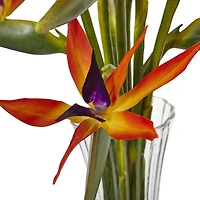 2.5ft. Bird of Paradise Flowers in Glass Cylinder Vase