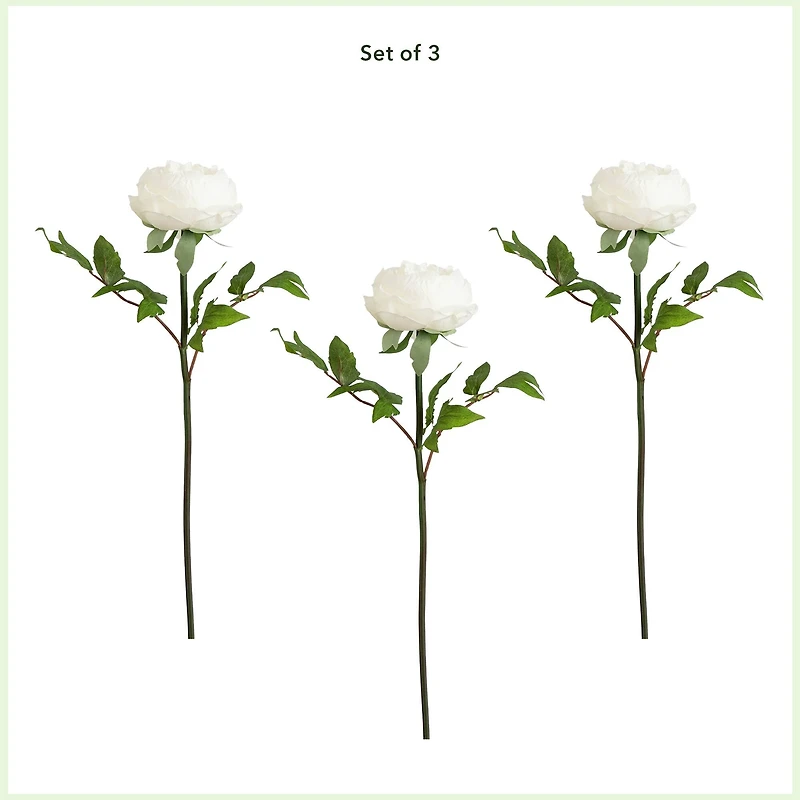 20" White Peony Flower Stems, 3ct.
