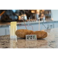 Toysmith® Potato Clock Kit