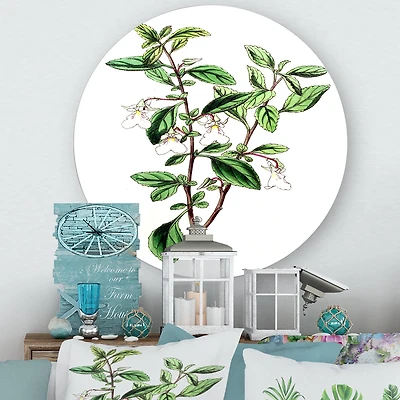 Designart - Vintage Green Leaves Plants VII