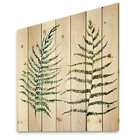 Designart - Two Fern Leaves