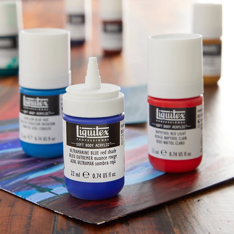 Liquitex® Professional Soft Body Acrylic™ Paint, 12ct.