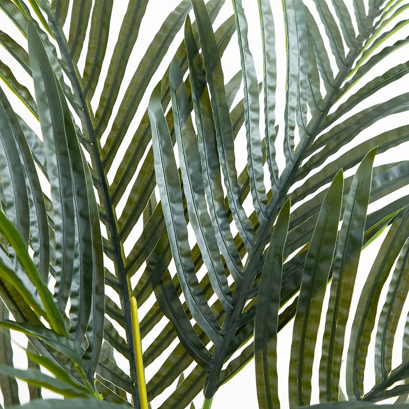 3ft. Potted Golden Cane Palm Tree