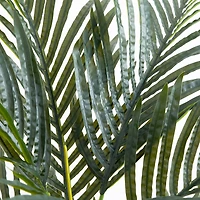 3ft. Potted Golden Cane Palm Tree