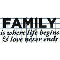 Leisure Arts® Vinyl Family Is Where Life Begins Black Wall Decal