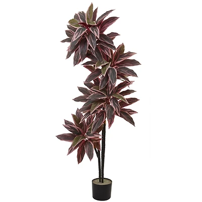 4.5ft. Potted Caladium Silk Plant