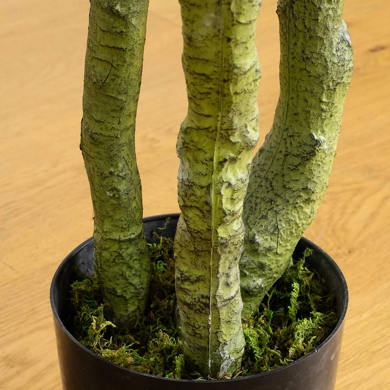 6ft. UV Resistant Artificial Bird Nest Fern Tree (Indoor/Outdoor)