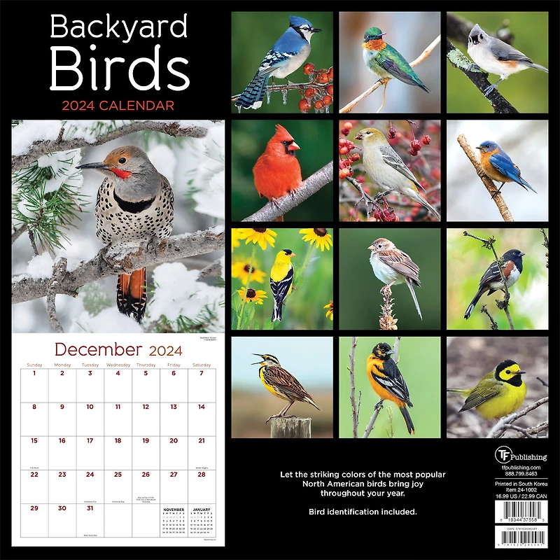 TF Publishing 2024 Backyard Birds Wall Calendar
