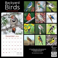 TF Publishing 2024 Backyard Birds Wall Calendar