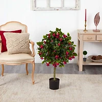 3ft. Potted Fuchsia Tree 