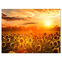 Designart - Yellow Sunset over Sunflowers