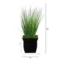 21" Onion Grass Plant in Black Metal Planter