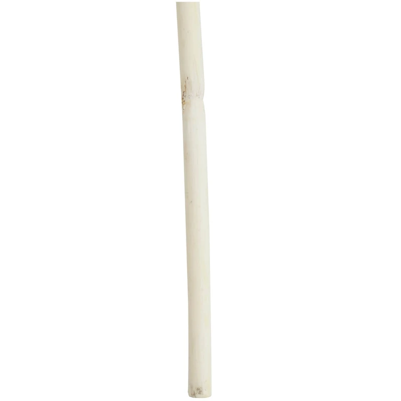 Brown Dried Wheat Grass Stem