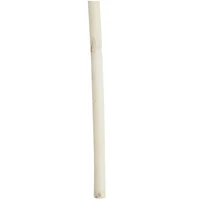 Brown Dried Wheat Grass Stem