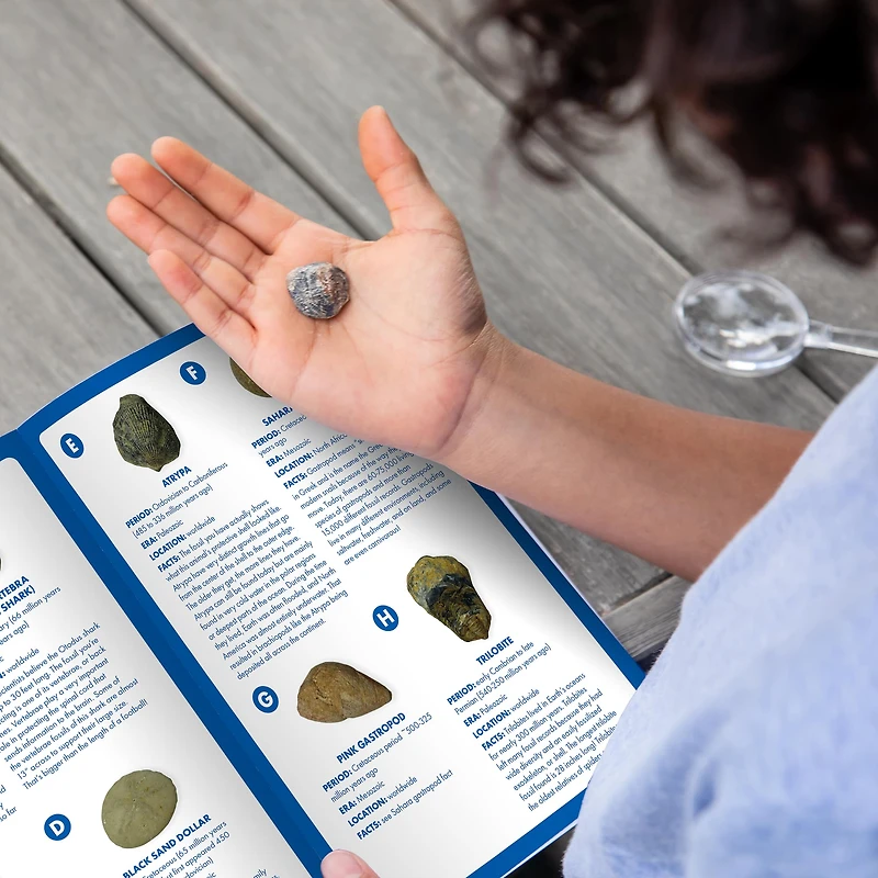 Educational Insights GeoSafari Jr. Fossil Excavation Kit