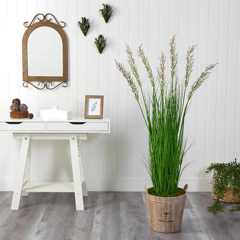 5.3ft. Wheat Grass Plant in Farmhouse Planter