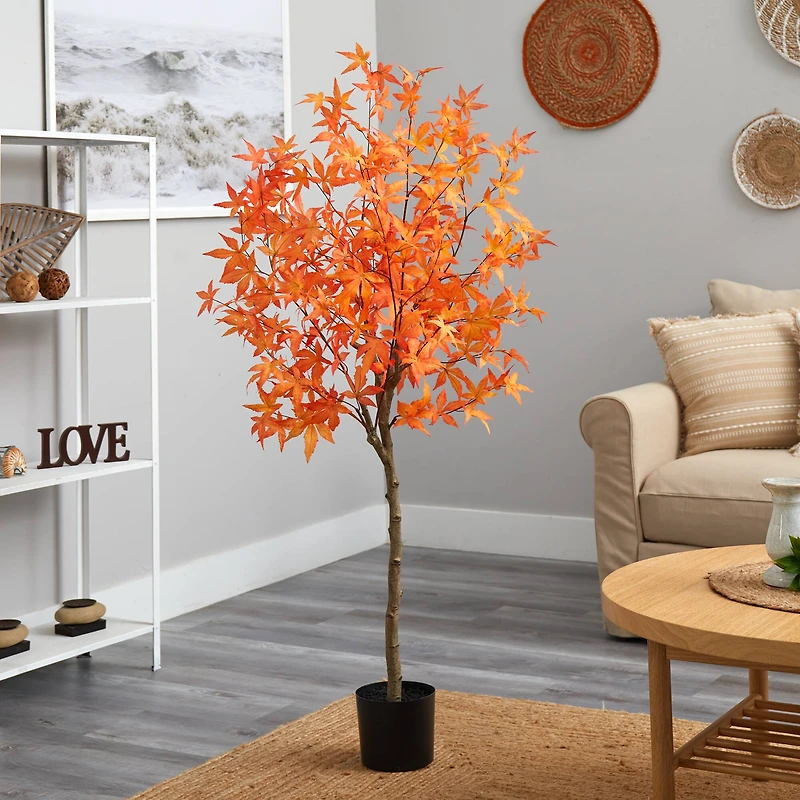 5ft. Potted Orange Autumn Maple Tree