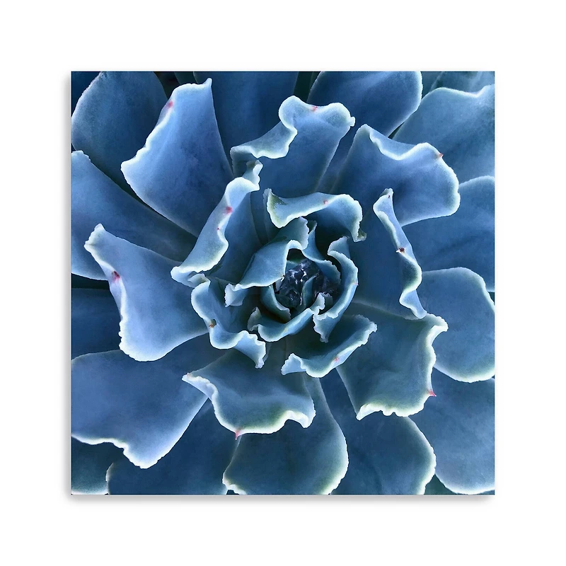 Lumaprints Ruffled Edges Canvas Wall Art