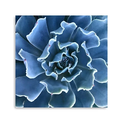 Lumaprints Ruffled Edges Canvas Wall Art