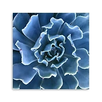Lumaprints Ruffled Edges Canvas Wall Art