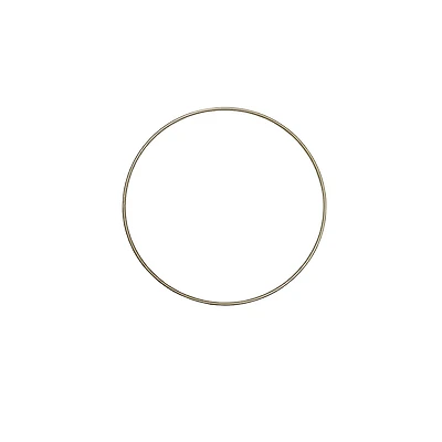 10" Gold Metal Wire Floral Hoop by Ashland®