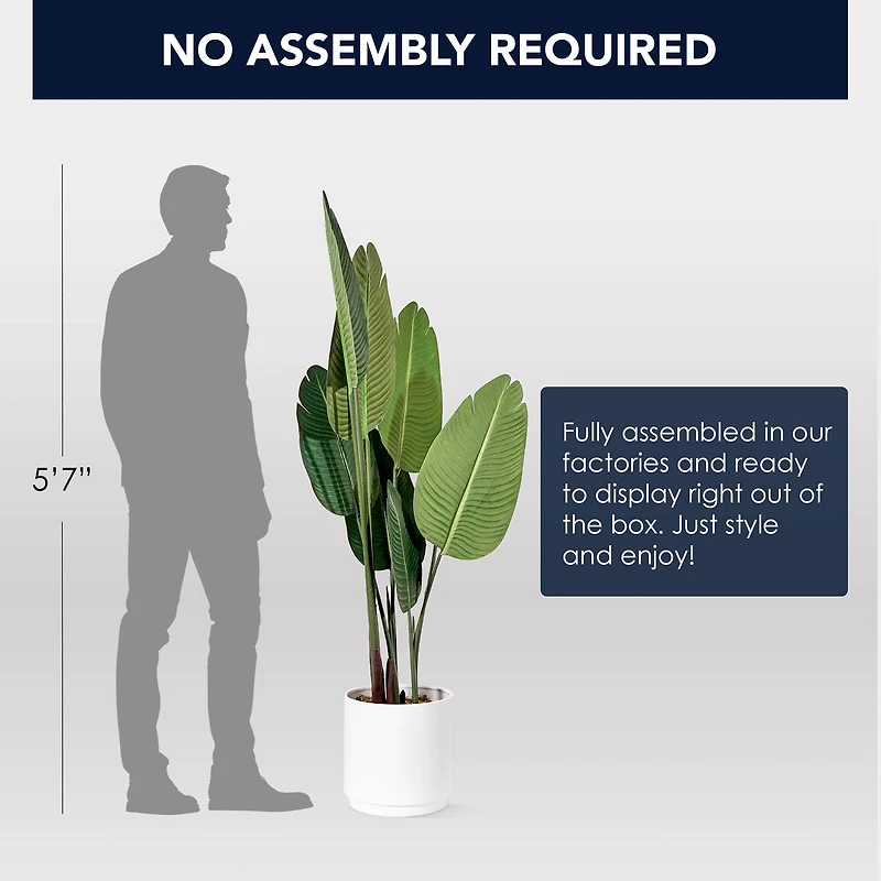 American Art Decor 5ft. Banana Palm Tree in White Ceramic Pot