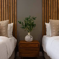 23" Pre-Lit Olive Branch Stem Set