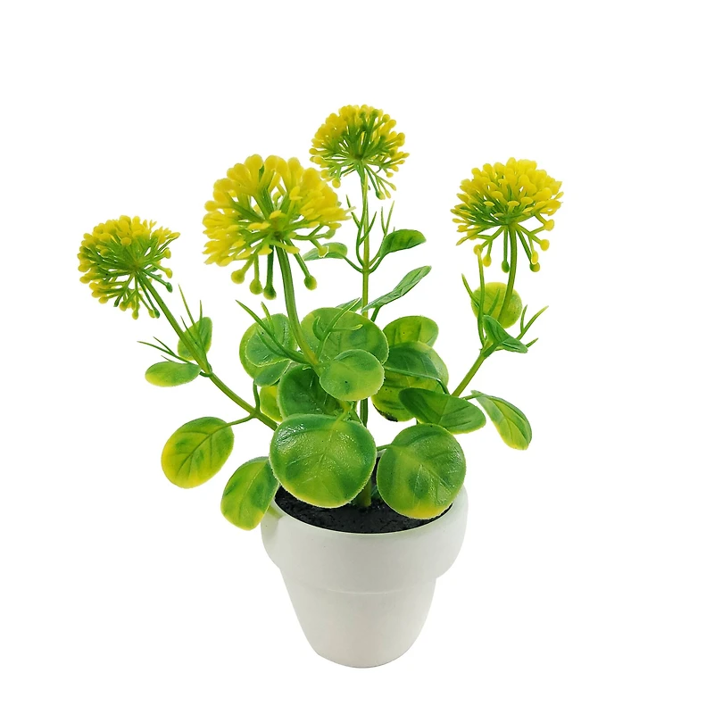 Assorted Micro Plant, 1pc. by Ashland®