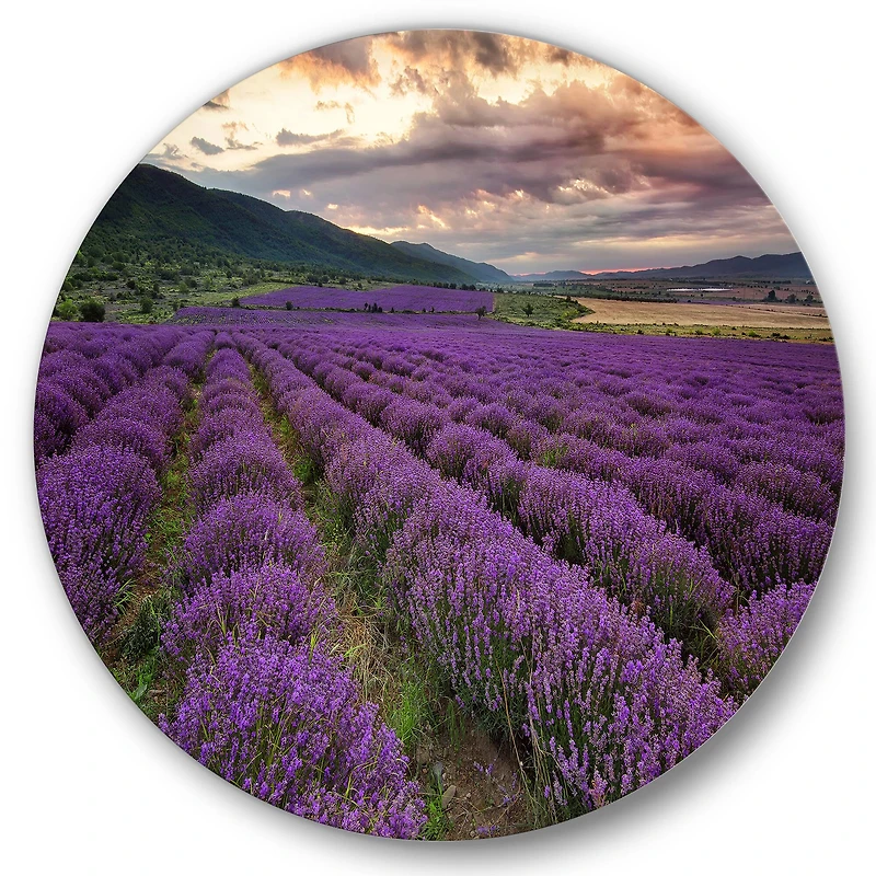 Designart - Lavender Field At Dawn I