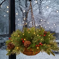20" Pre-lit Feel Real® Colonial Artificial Christmas Hanging Basket with Cones, Red Berries &50 Warm White Battery Operated LED Lights w/Timer
