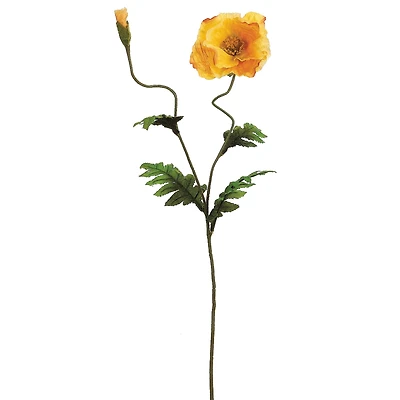 Yellow Poppy Spray