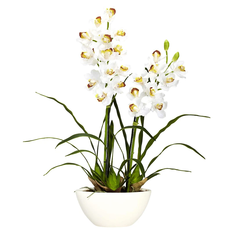 2.5ft. White Boat Orchid in White Vase