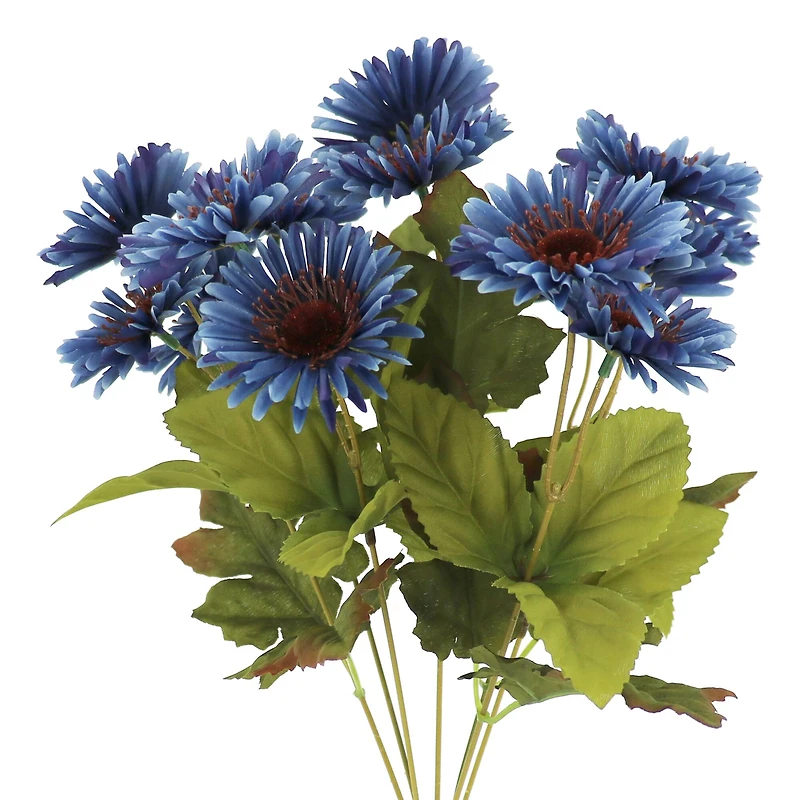 10" Fall Daisy Bush by Ashland