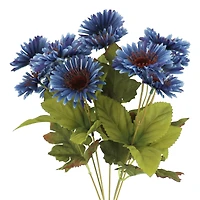 10" Fall Daisy Bush by Ashland