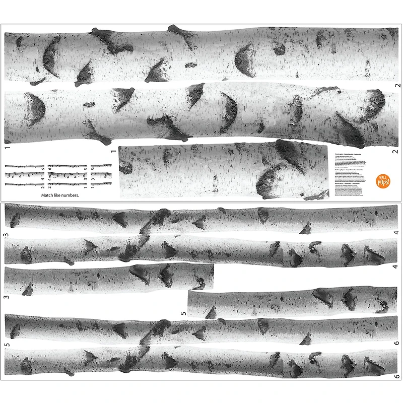 WallPops Silver Birches Wall Art Kit