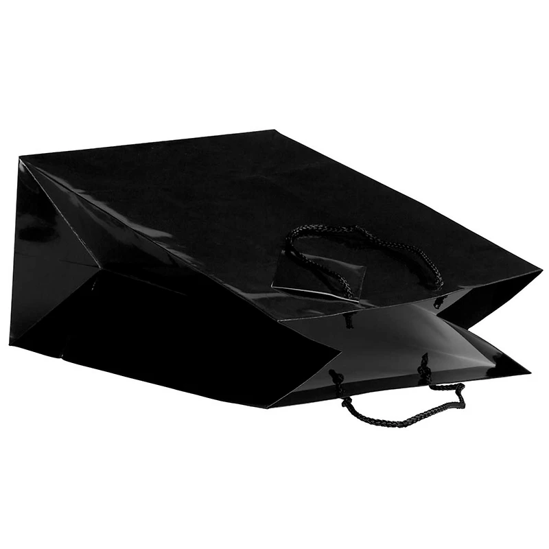 JAM Paper Large Glossy Gift Bags with Rope Handles