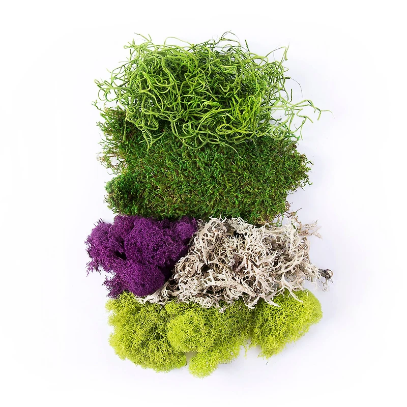 SuperMoss® Purple & Green Preserved Mixed Moss