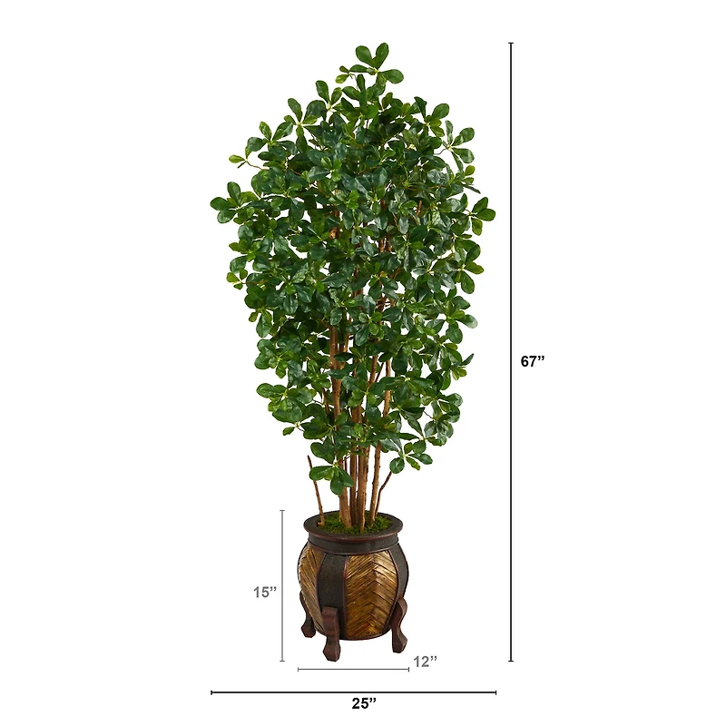 5.5ft. Black Olive Tree with in Decorative Planter