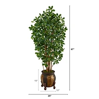 5.5ft. Black Olive Tree with in Decorative Planter