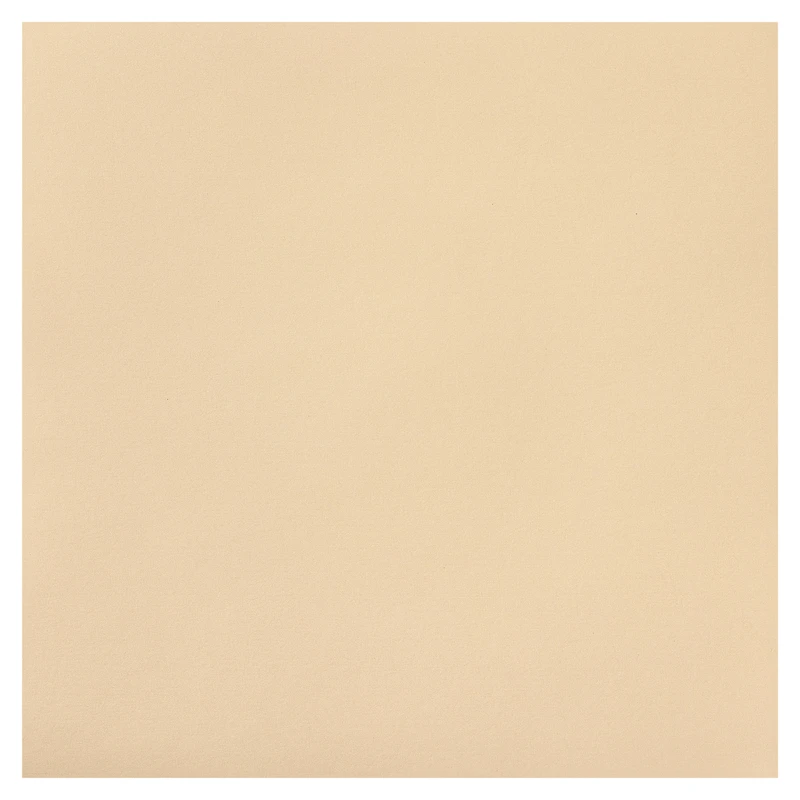 Ivory Starry Cardstock Paper by Recollections®, 12" x 12"