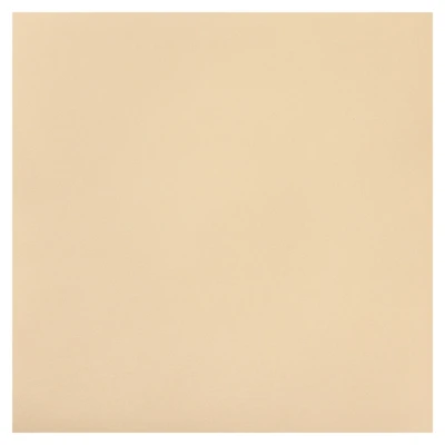 Ivory Starry Cardstock Paper by Recollections®, 12" x 12"