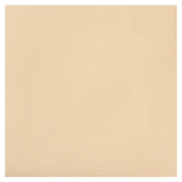 Ivory Starry Cardstock Paper by Recollections®, 12" x 12"