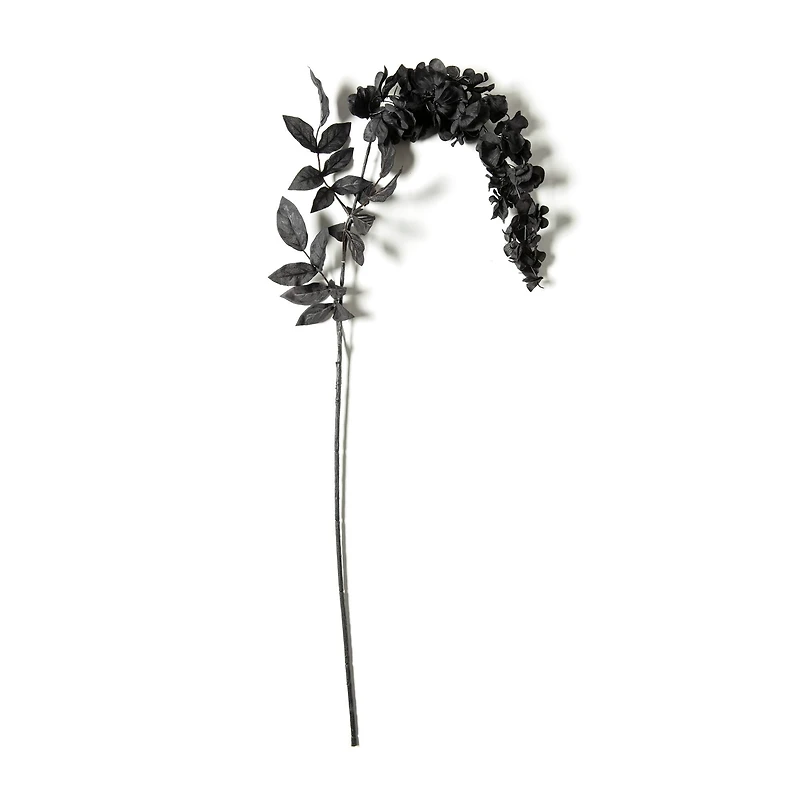 12 Pack: Black Wisteria Stem by Ashland®