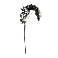 12 Pack: Black Wisteria Stem by Ashland®
