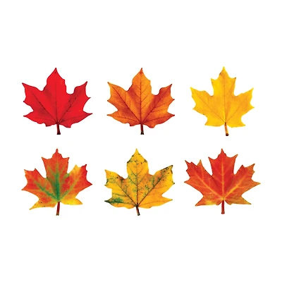 Trend Enterprises® Maple Leaves Classic Accents® Variety Pack