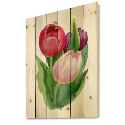 Designart - Beautiful Tulip Flowers