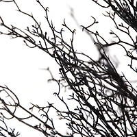 4ft. Pre-Lit LED Halloween Black Twig Artificial Fall Tree in Burlap Planter