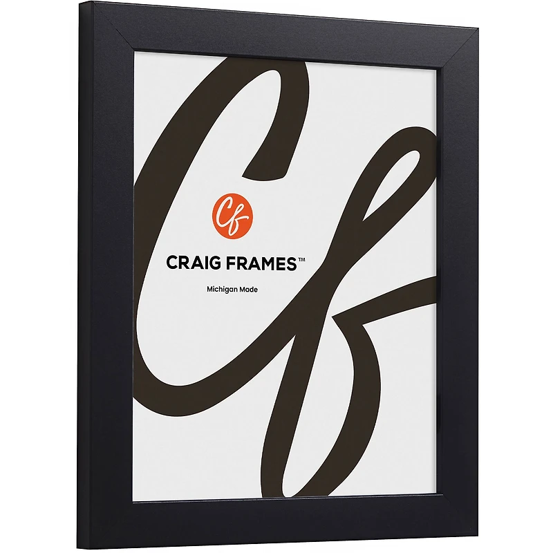Craig Frames Essentials Mystic Satin Black Picture Frame